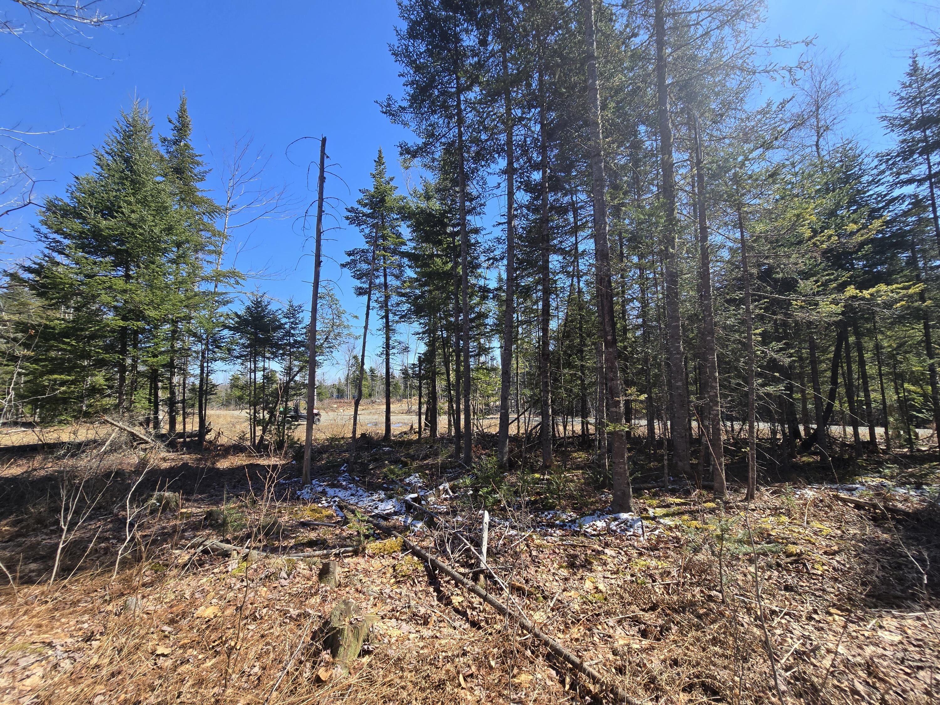 0 Chadbourne Road Harmony, ME 04942 - Photo 12 of 22 20260408_140146
