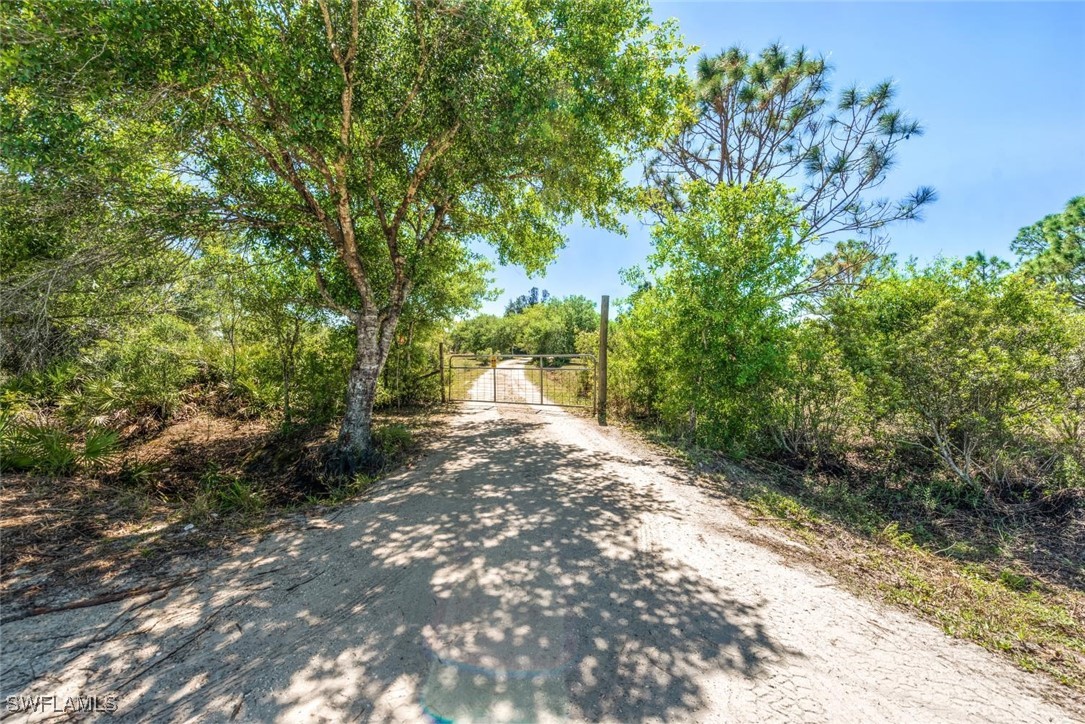 47350 Bermont Road Punta Gorda, FL 33982 - Photo 35 of 41 a view of a yard with plants and trees