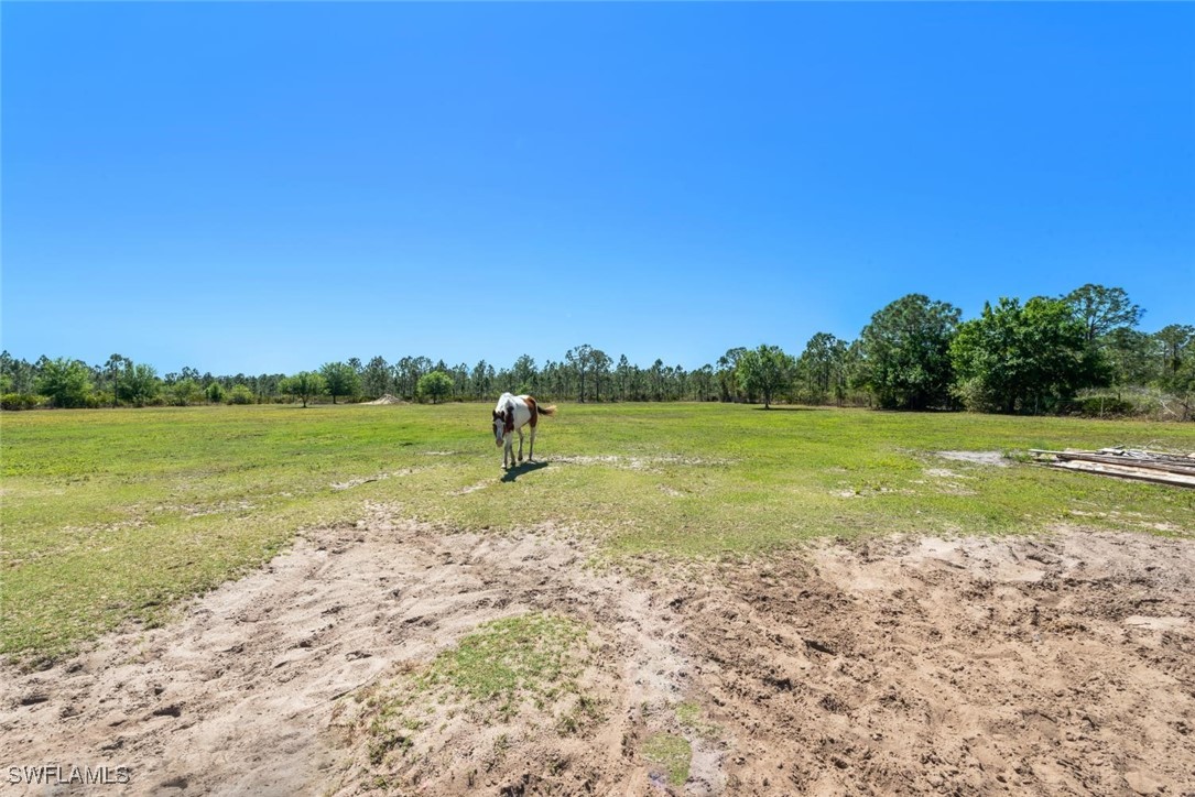 47350 Bermont Road Punta Gorda, FL 33982 - Photo 39 of 41 a view of a lake with a yard