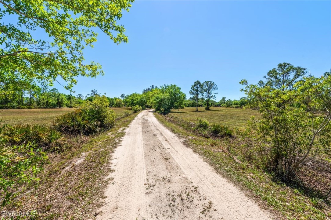 47350 Bermont Road Punta Gorda, FL 33982 - Photo 7 of 41 a view of a road with a yard