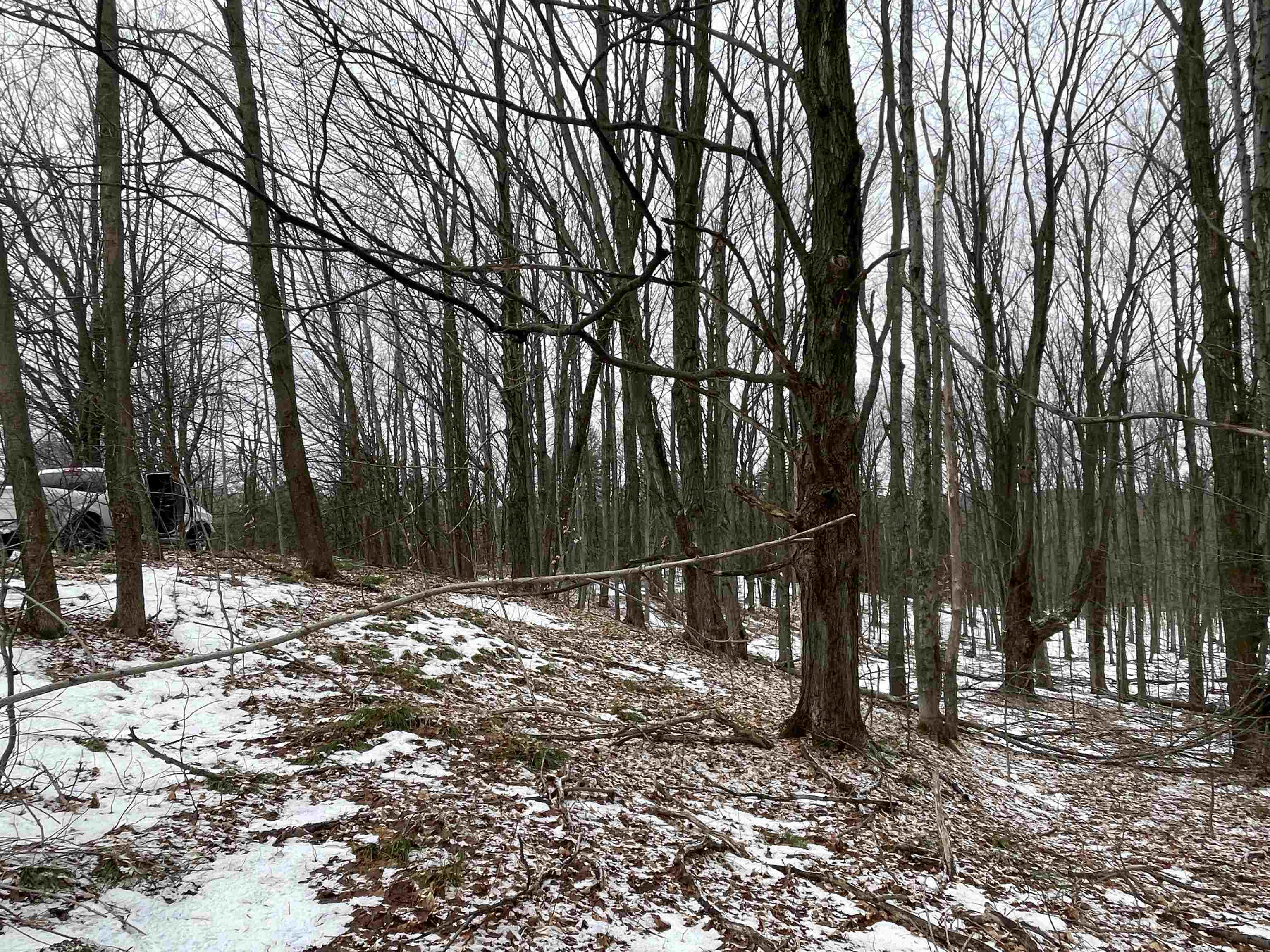 0 22nd Road Tustin, MI 49688 - Photo 6 of 13