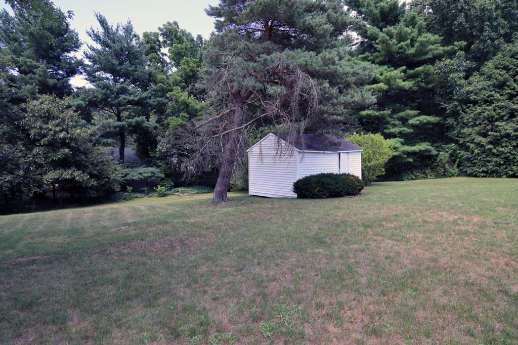 14 Catherine Road Framingham, MA 01701 - Photo 24 of 24 a view of backyard and tree