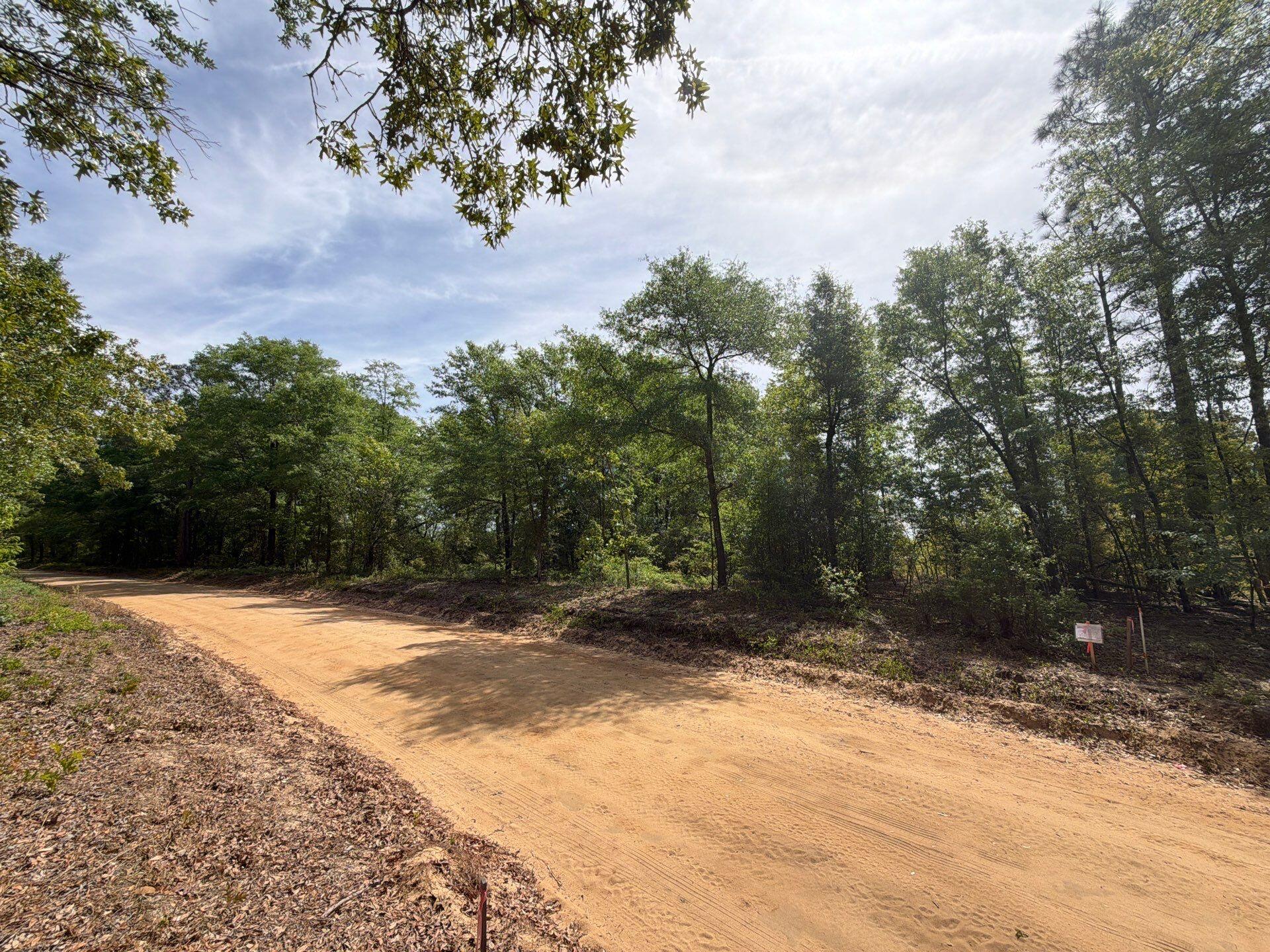 7 Rogers Cemetery Road, Unit RRF 7 Salley, SC 29137 - Photo 2 of 14