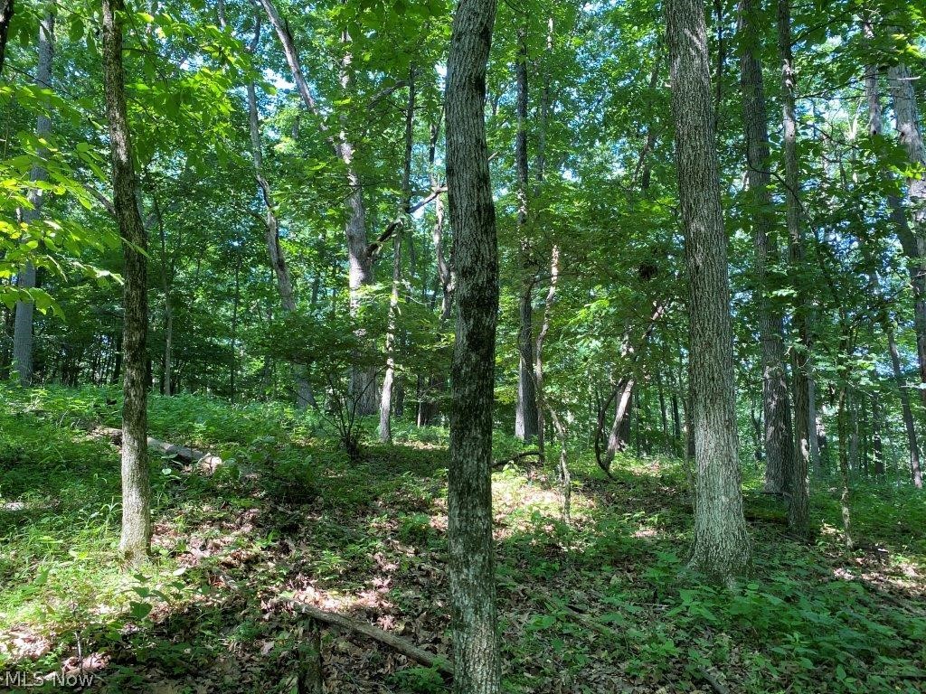Staats Road Howard, OH 43028 - Photo 5 of 11