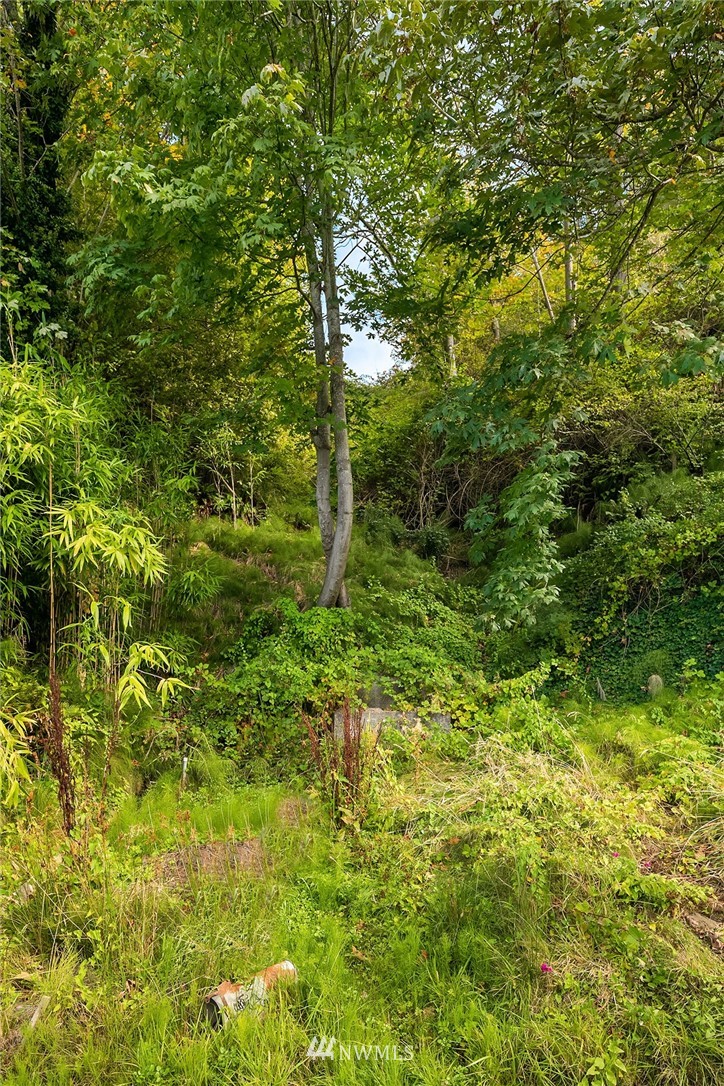 2318 Perkins Lane West Seattle, WA 98199 - Photo 3 of 8 a view of a garden