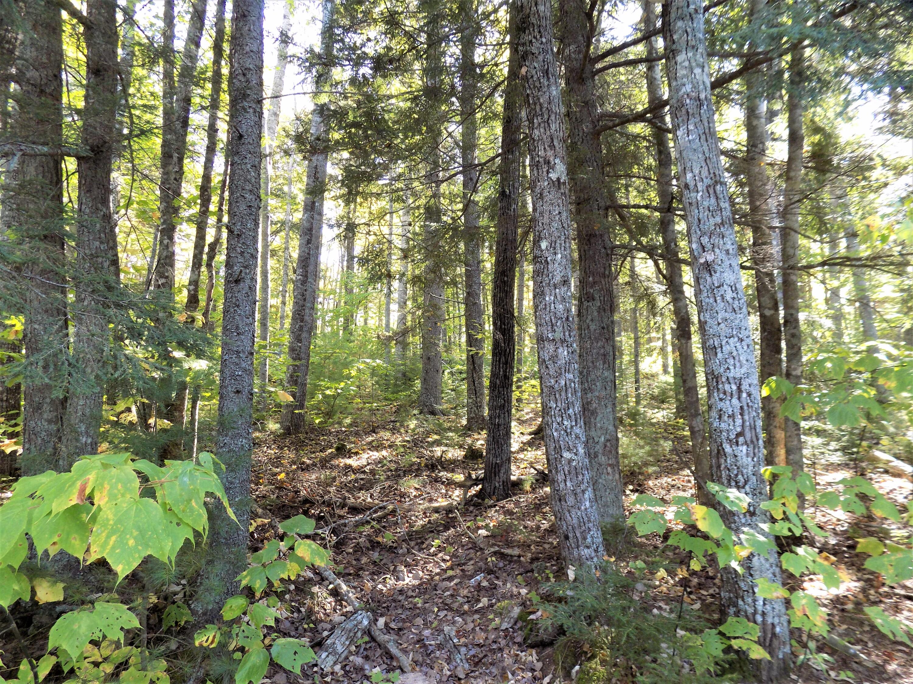232-238 Flanders Pond Road Sullivan, ME 04664 - Photo 1 of 3 M 32L27 and 28