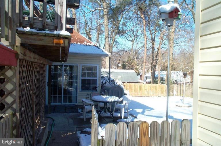 Back yard