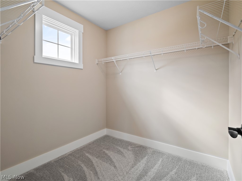 34270 Brookside Lane North Ridgeville, OH 44039 - Photo 41 of 50 Walk in closet with light colored carpet