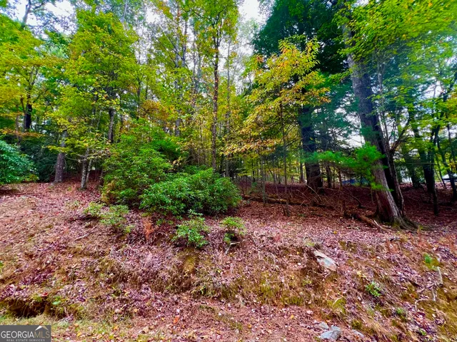 a view of a backyard with large trees
