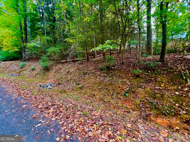 a car parked in front of the house