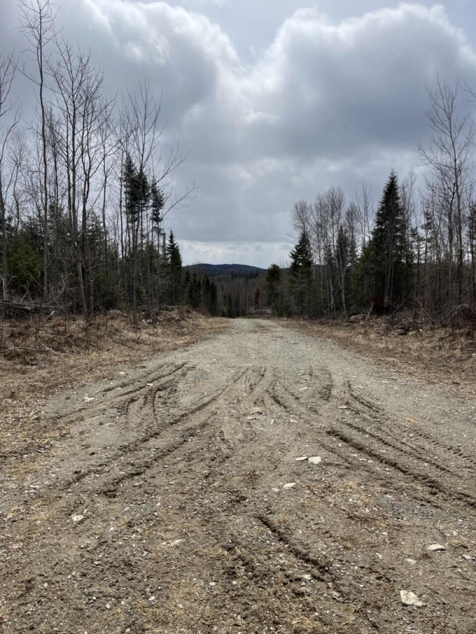 33 Rt 6 Highway Carroll Plt, ME 04487 - Photo 10 of 10