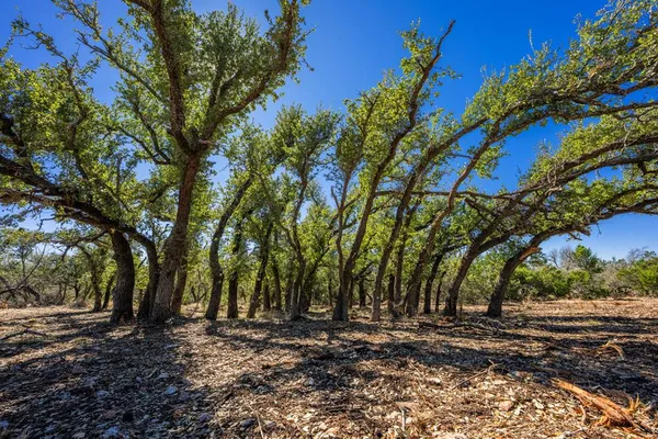 $399,000 | 0 Keese Road, Fredericksburg, TX 78624