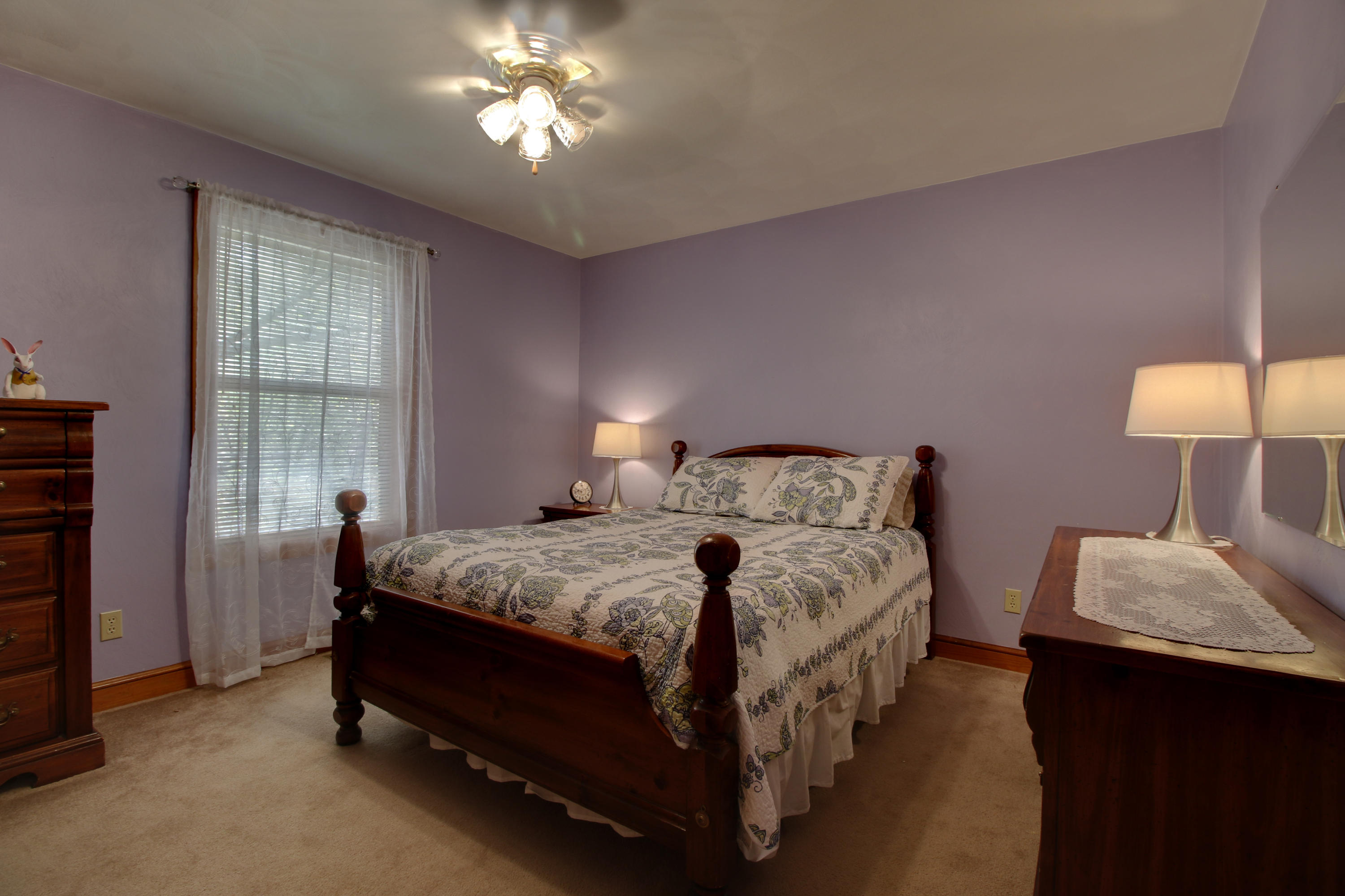6293 Meacham Road Salem, VA 24153 - Photo 23 of 52 _MG_7337_8_9