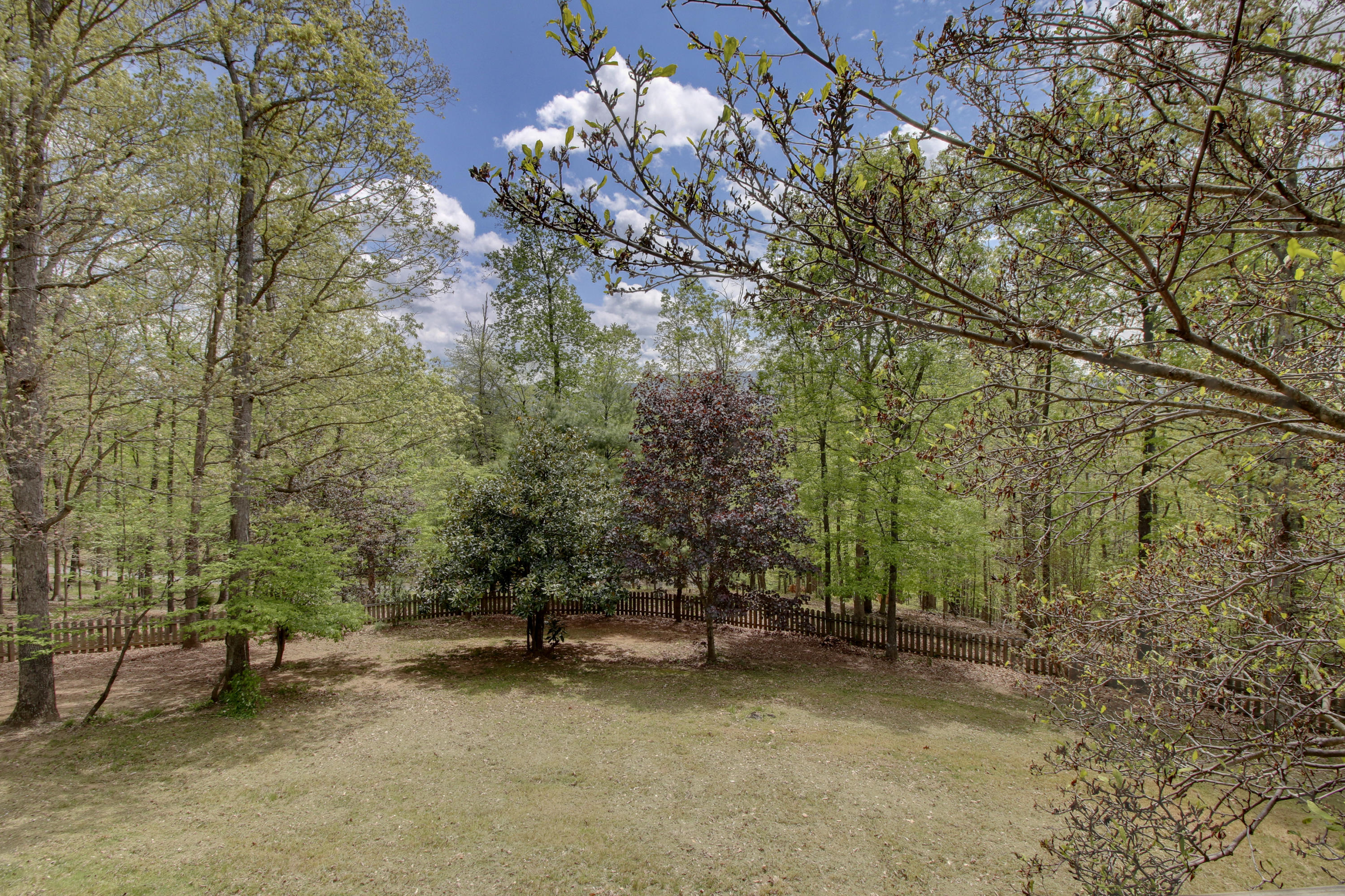6293 Meacham Road Salem, VA 24153 - Photo 29 of 52 _MG_7355_6_7