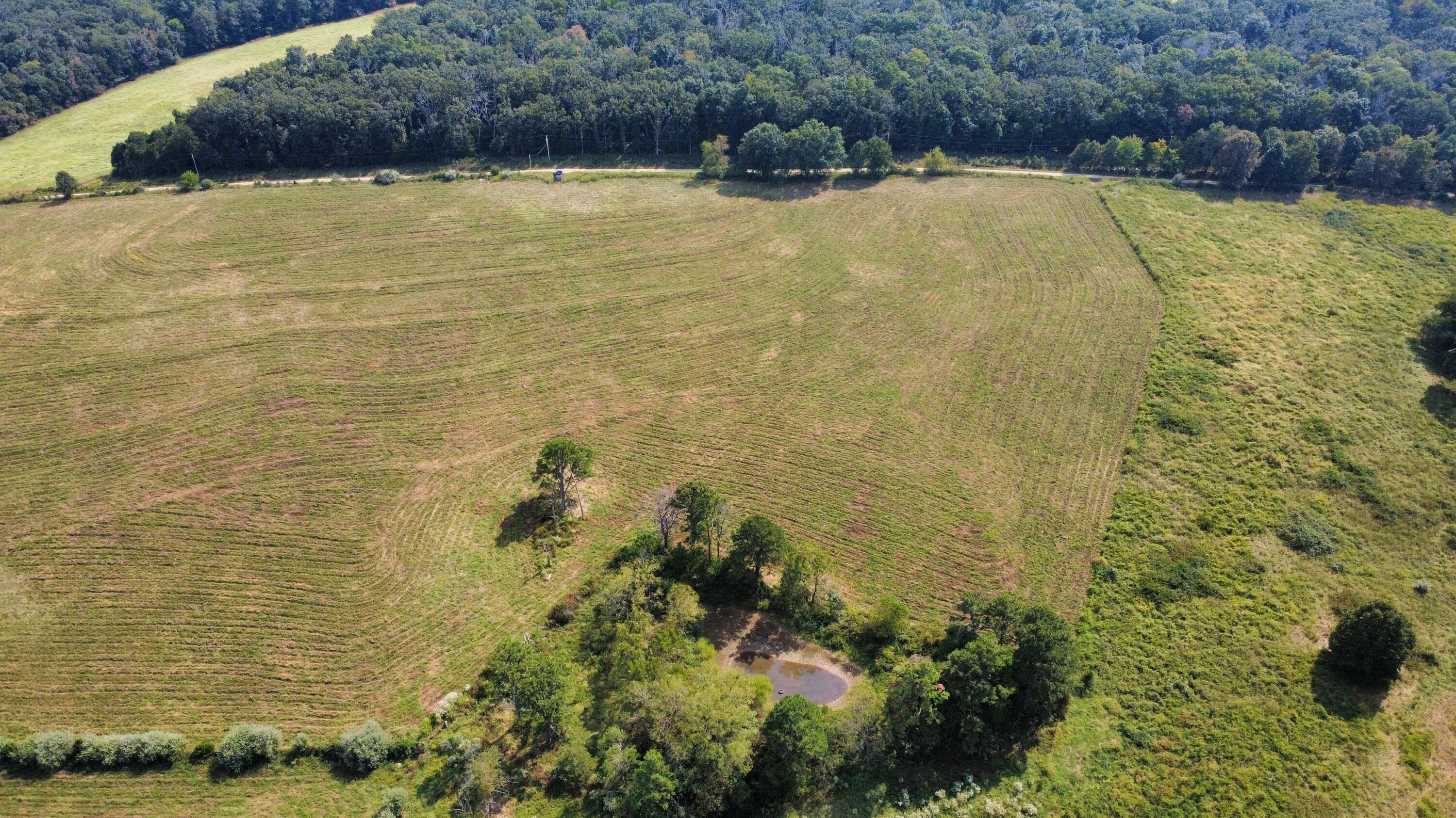 4040 Rolla Mo 65401 Rolla, MO 65401 - Photo 31 of 46 dji_fly_20260909_150620_468_178905554097