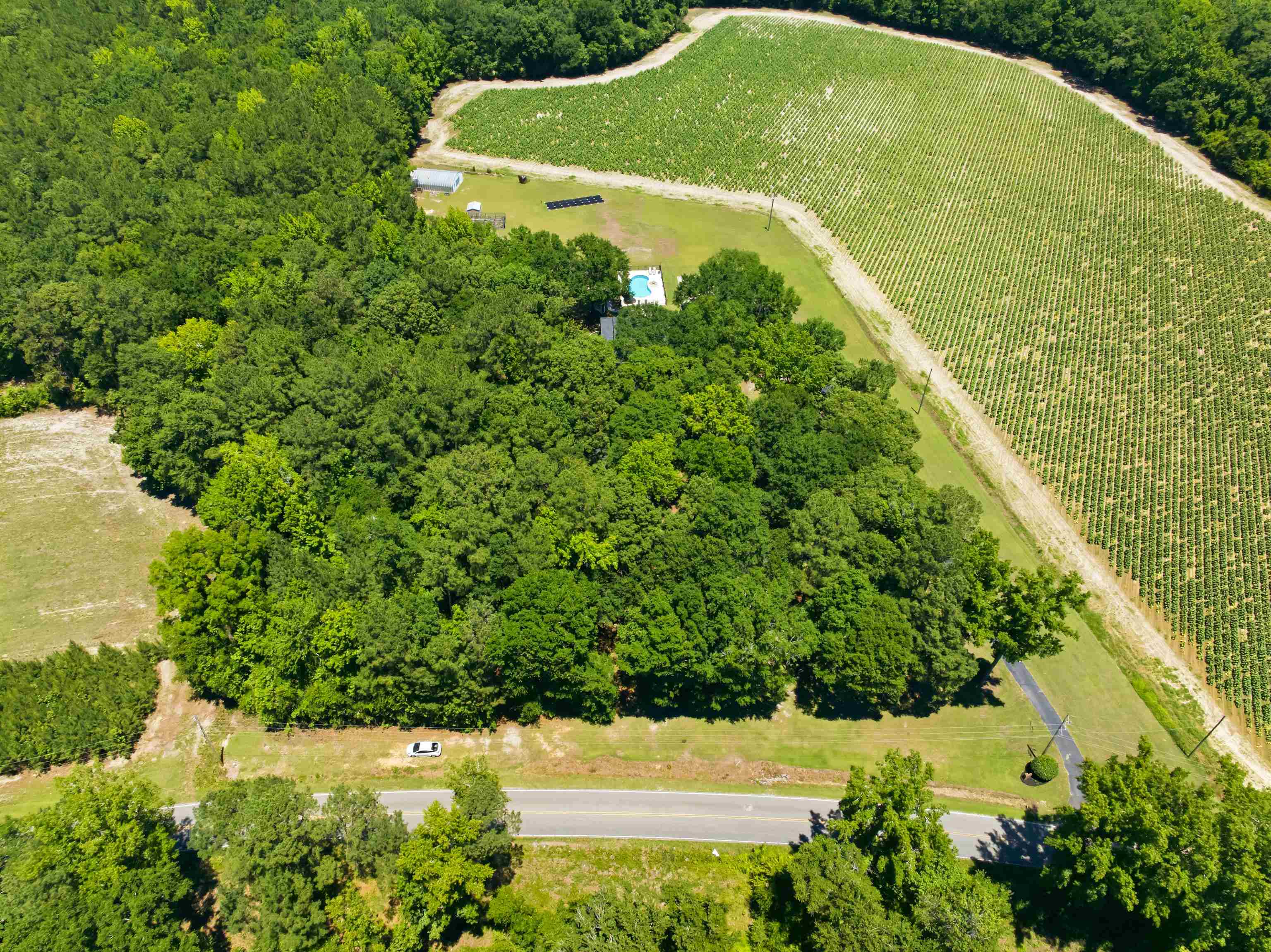 5417 Privetts Road Conway, SC 29526 - Photo 73 of 85