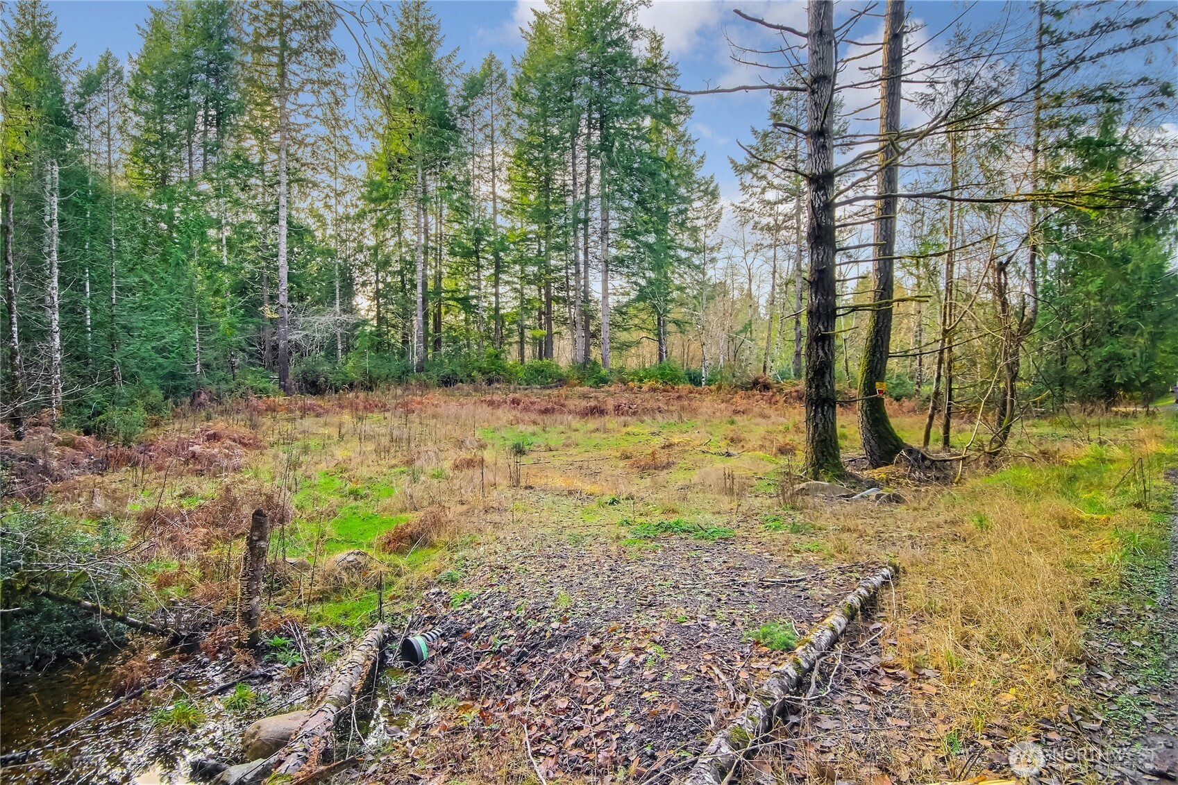 1 East Jared Road Shelton, WA 98584 - Photo 8 of 15 Gallery Image 8
