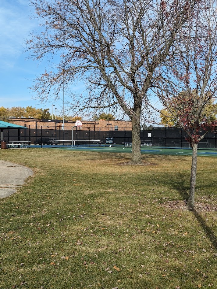 300 South Roselle Road, Unit 111 Schaumburg, IL 60193 - Photo 13 of 13 a view of a yard with a tree