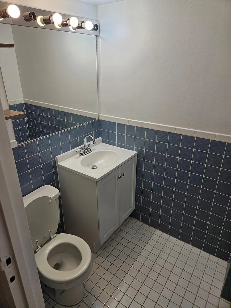 300 South Roselle Road, Unit 111 Schaumburg, IL 60193 - Photo 9 of 13 a bathroom with a sink toilet and mirror