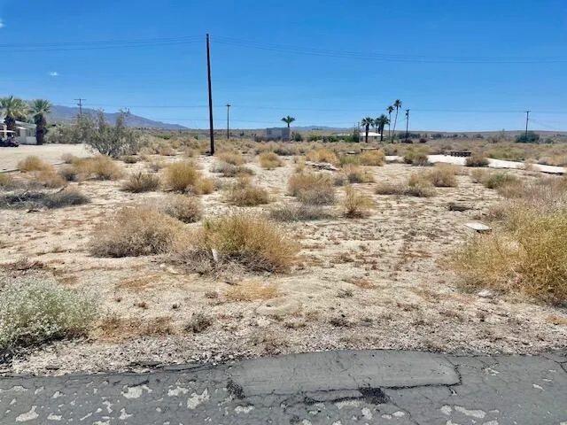 a view of a dry yard