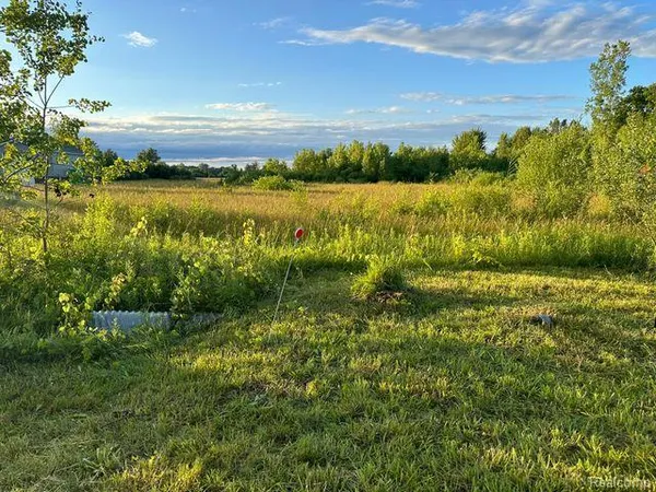 $85,000 | 0 Division Road, Yale, MI 48097