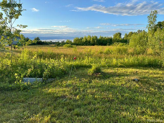 0 Division Road Yale, MI 48097 - Photo 1 of 5