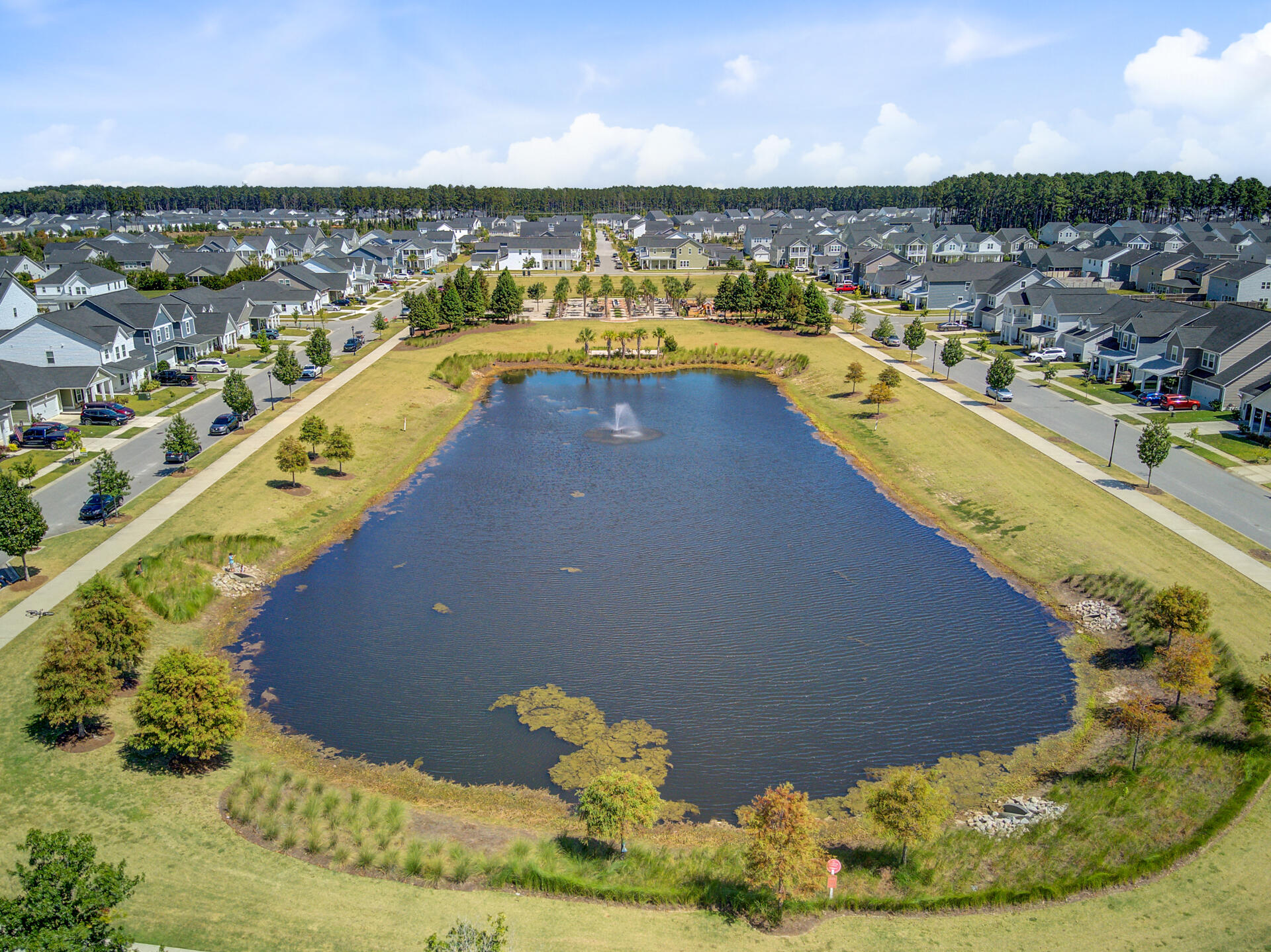 1963 Longhorn Lane Ridgeville, SC 29472 - Photo 83 of 107 (47)