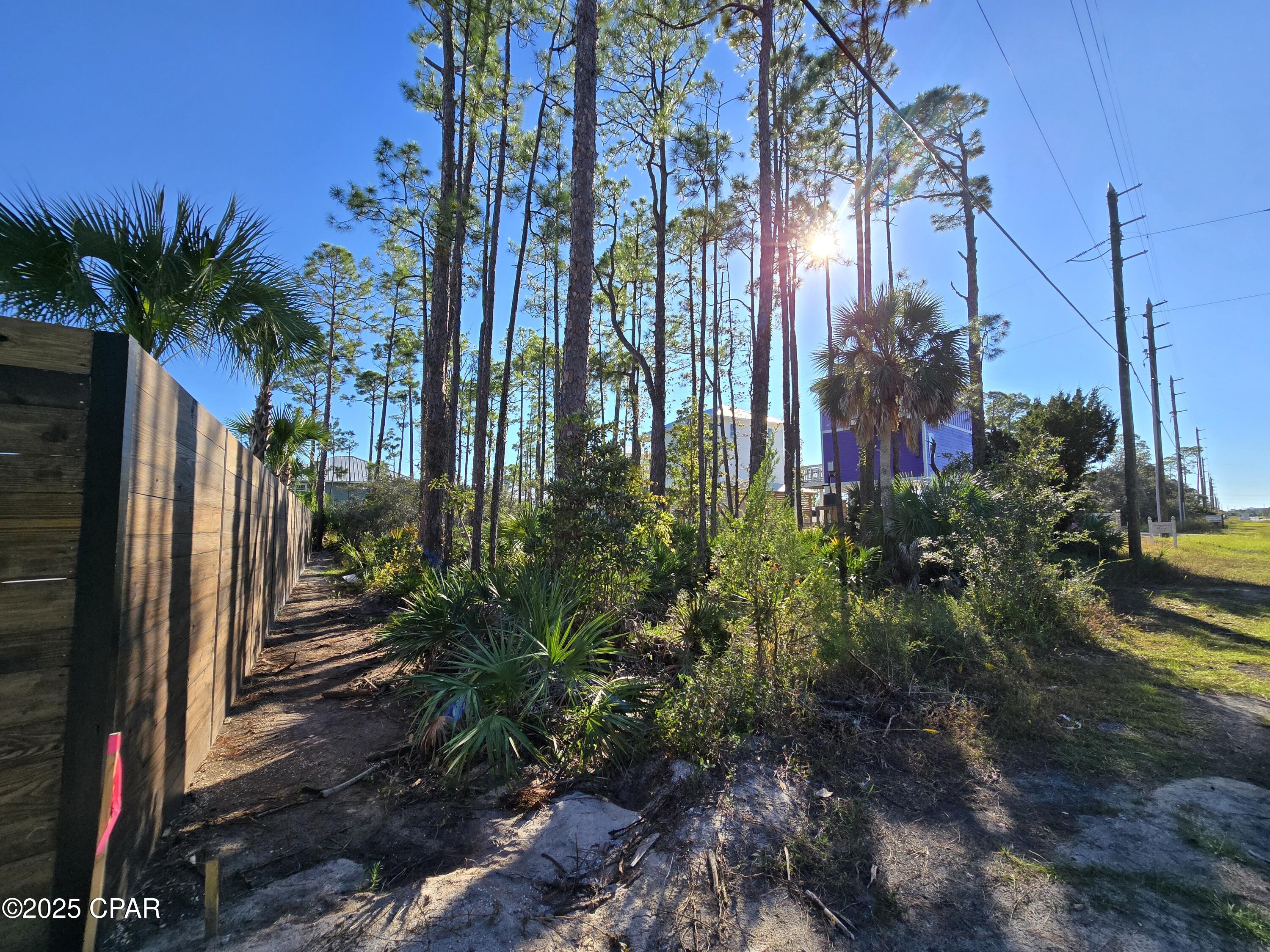 0 Indian Pass Road Port St. Joe, FL 32456 - Photo 11 of 30