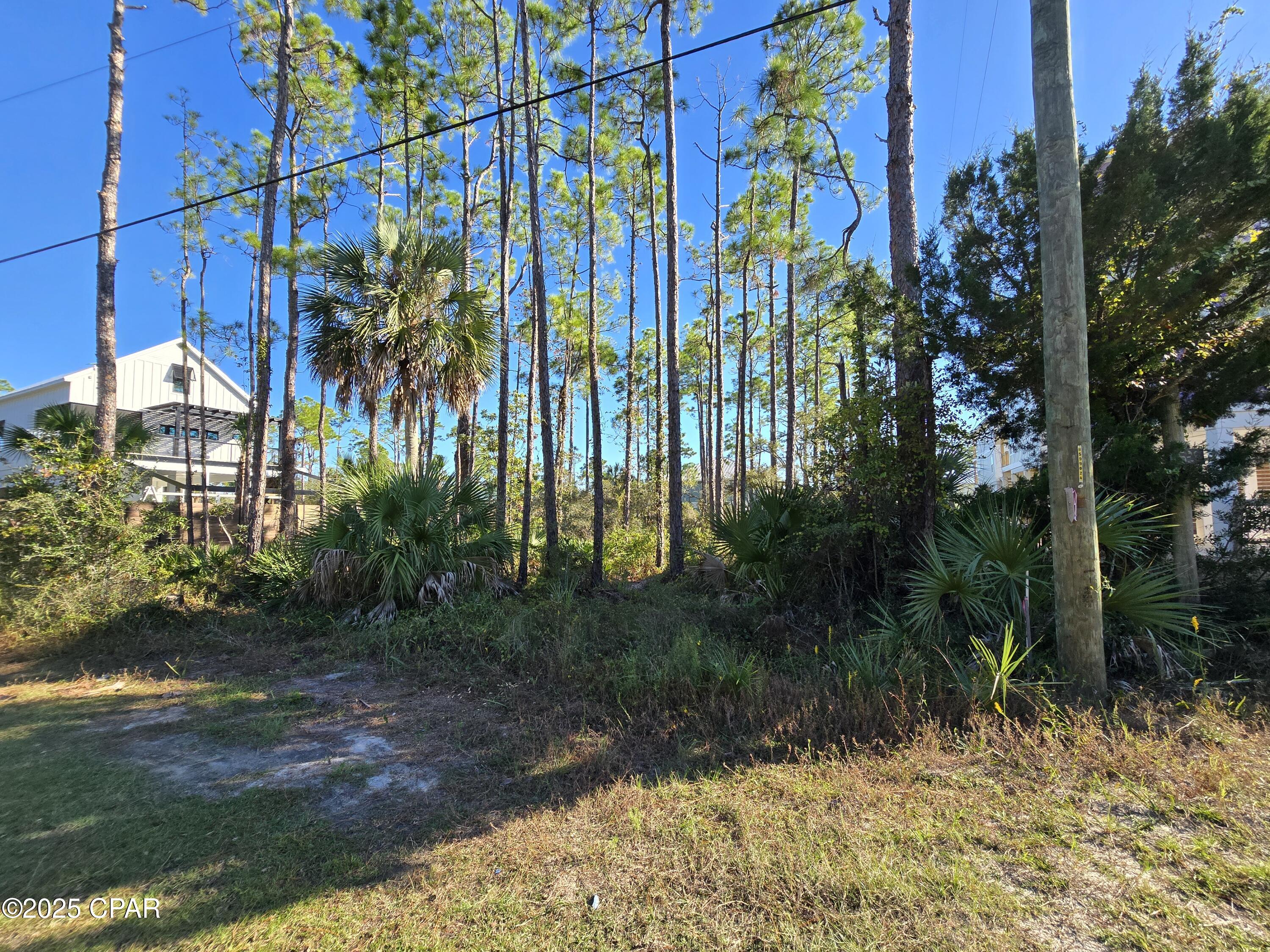 0 Indian Pass Road Port St. Joe, FL 32456 - Photo 9 of 30