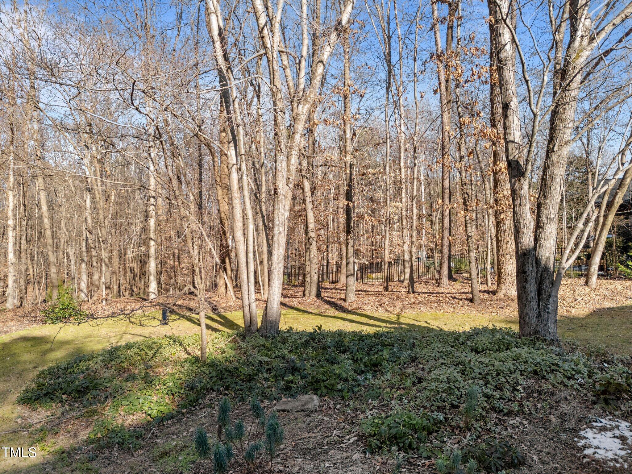 216 Jansmith Lane Raleigh, NC 27615 - Photo 39 of 43 39