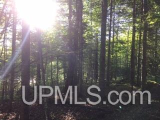 Tbd Cardinal Point Road Michigamme, MI 49861 - Photo 7 of 9