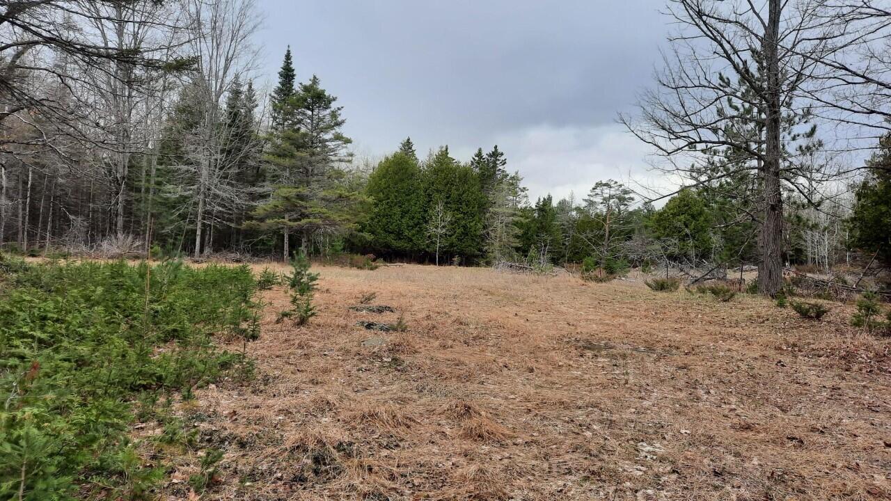 4576 French Road Alpena, MI 49707 - Photo 3 of 17 Gallery Image 3