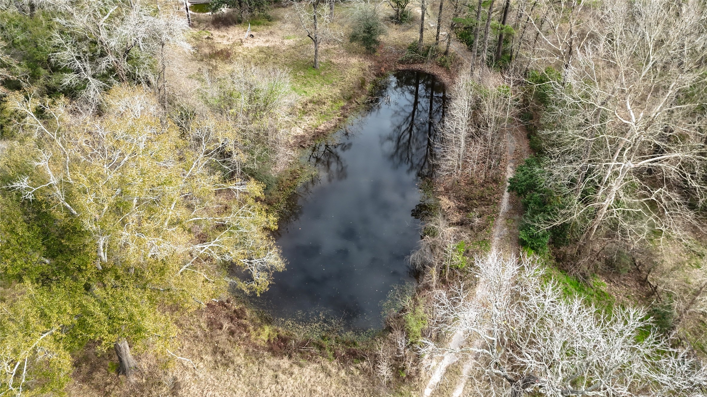 19895 Scott Gardner Road New Caney, TX 77357 - Photo 11 of 11 a view of a yard with trees