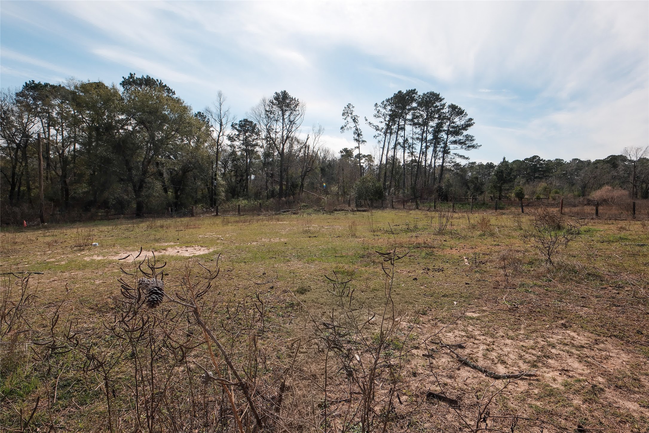 19895 Scott Gardner Road New Caney, TX 77357 - Photo 9 of 11 a view of a field with a trees in the background