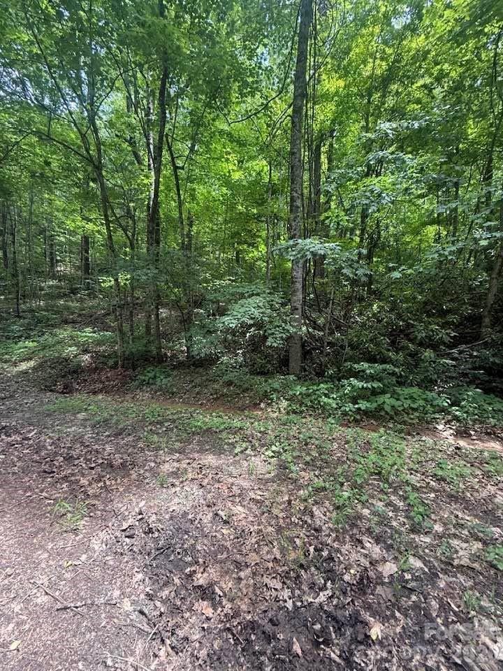 0 Summit Road, Unit 343 Tryon, NC 28782 - Photo 7 of 18