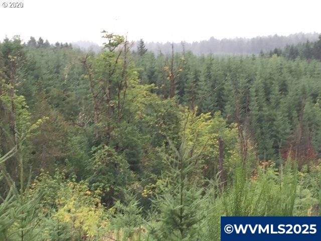 Northwest Ridge Road Forest Grove, OR 97116 - Photo 4 of 8