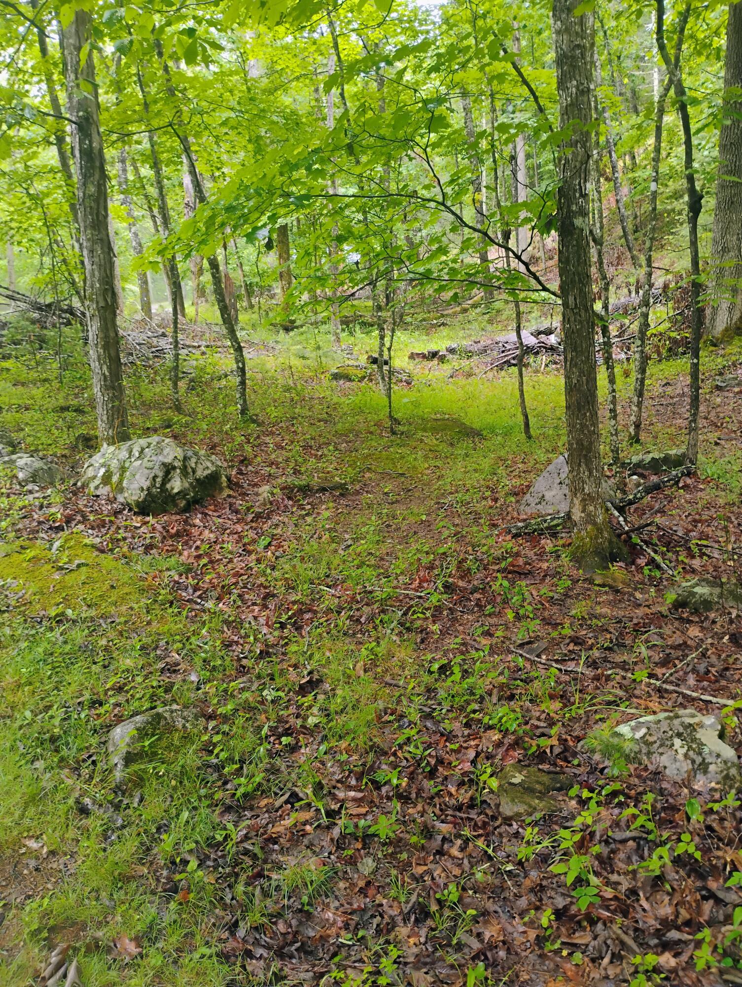 425 Miller Cove Road Catawba, VA 24070 - Photo 6 of 19 1000000408