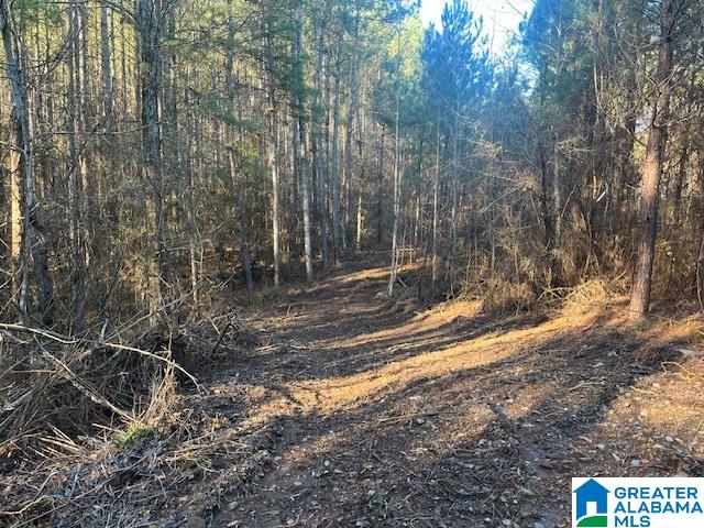 Lambert Road, Unit 56 Cragford, AL 36255 - Photo 6 of 6 Gallery Image 6