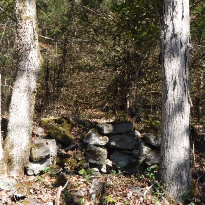 Huff Hollow Rd Road Granville, TN 38564 - Photo 1 of 36 DSCF0854