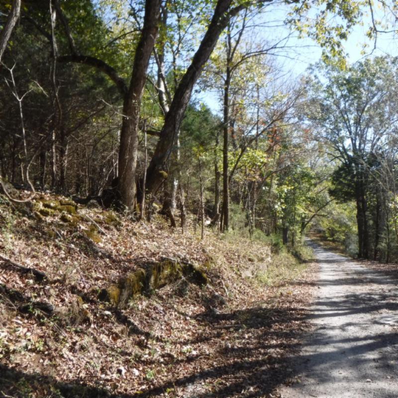 Huff Hollow Rd Road Granville, TN 38564 - Photo 2 of 36 DSCF0855