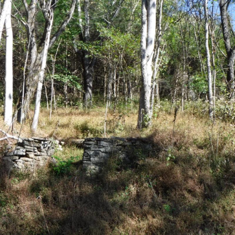 Huff Hollow Rd Road Granville, TN 38564 - Photo 11 of 36 DSCF0864