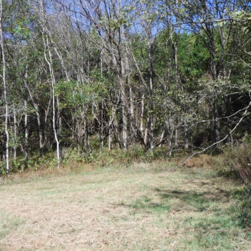 Huff Hollow Rd Road Granville, TN 38564 - Photo 13 of 36 DSCF0866