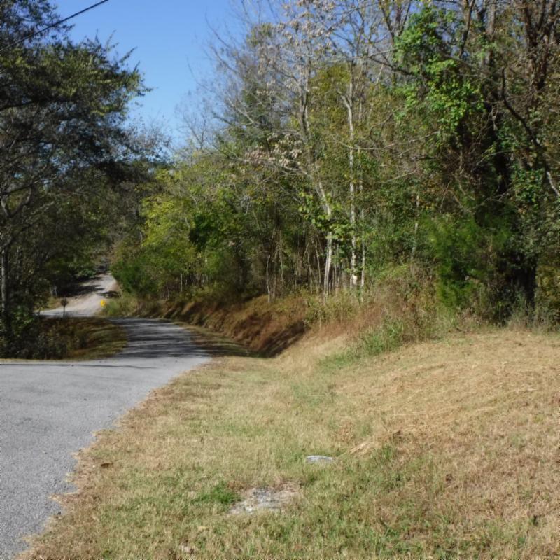 Huff Hollow Rd Road Granville, TN 38564 - Photo 14 of 36 DSCF0867