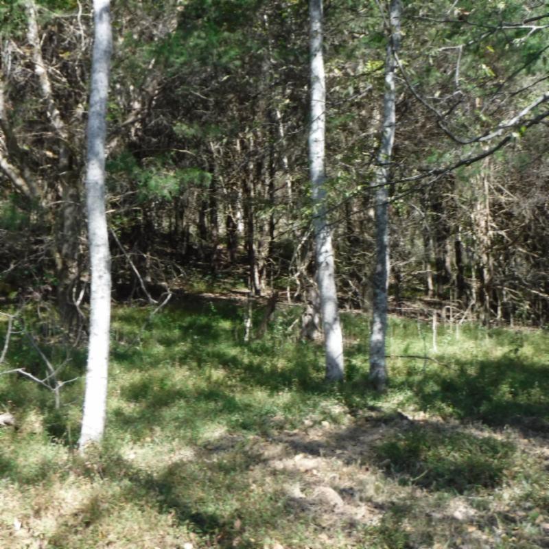 Huff Hollow Rd Road Granville, TN 38564 - Photo 18 of 36 DSCF0871