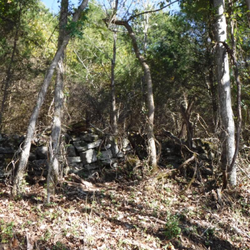 Huff Hollow Rd Road Granville, TN 38564 - Photo 3 of 36 DSCF0856