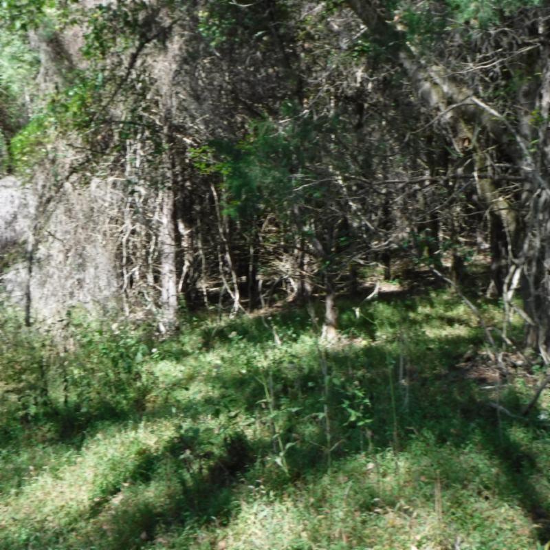Huff Hollow Rd Road Granville, TN 38564 - Photo 22 of 36 DSCF0875