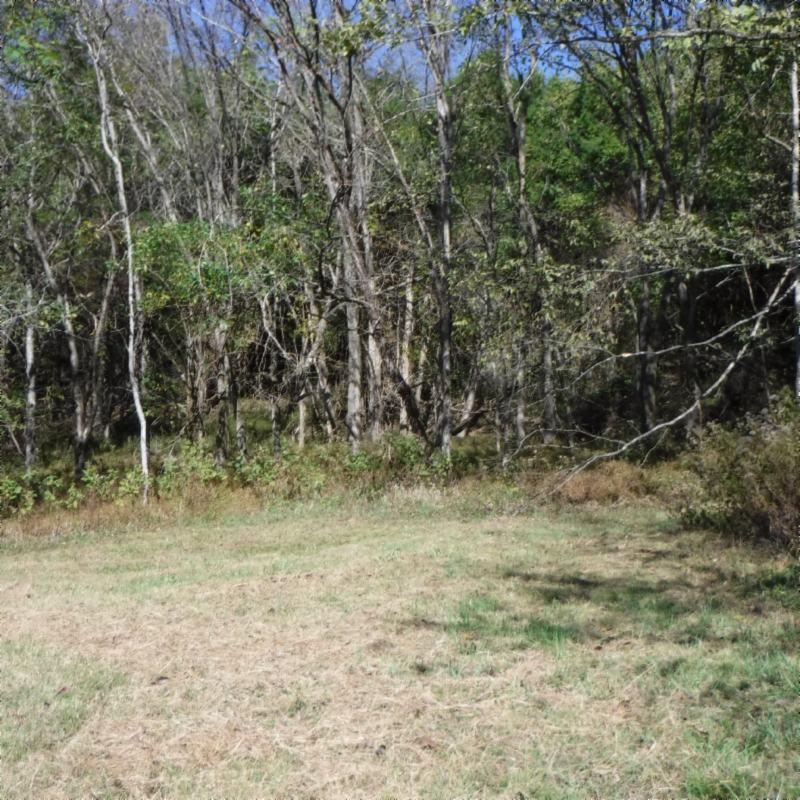 Huff Hollow Rd Road Granville, TN 38564 - Photo 23 of 36 DSCF0876
