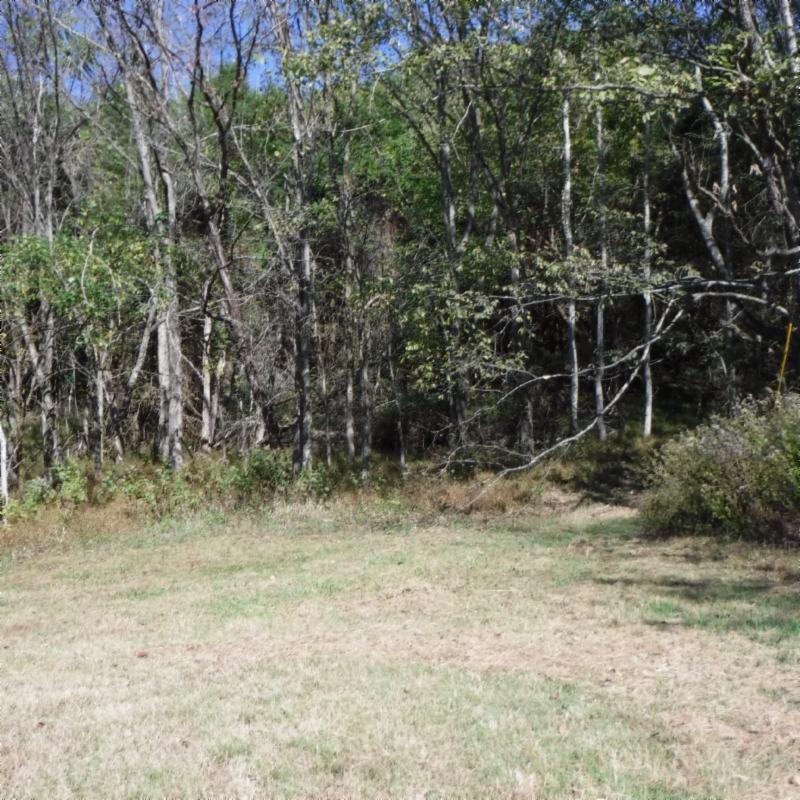 Huff Hollow Rd Road Granville, TN 38564 - Photo 24 of 36 DSCF0877