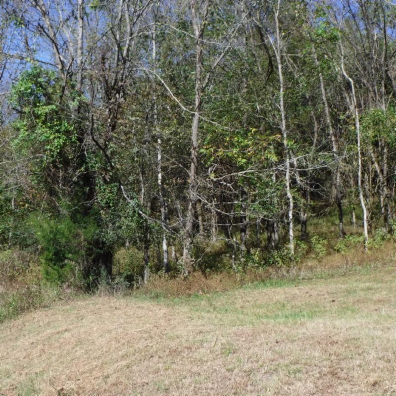 Huff Hollow Rd Road Granville, TN 38564 - Photo 25 of 36 DSCF0878