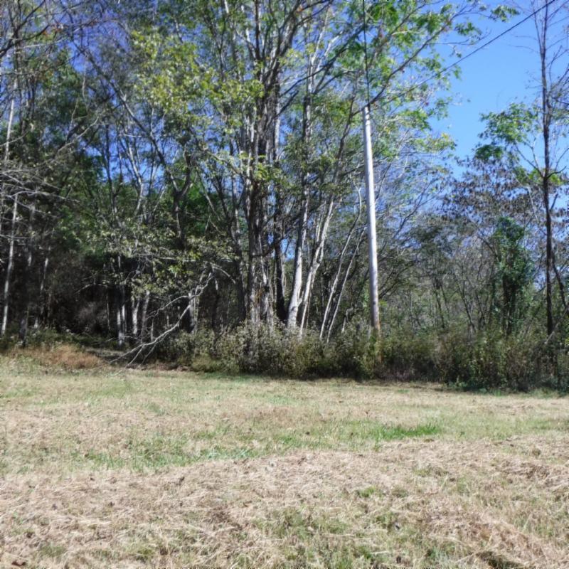 Huff Hollow Rd Road Granville, TN 38564 - Photo 26 of 36 DSCF0883